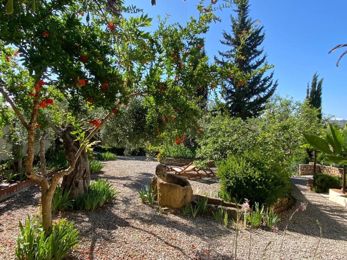 Beautiful Country House Near Ronda Arriate Ngoại thất bức ảnh